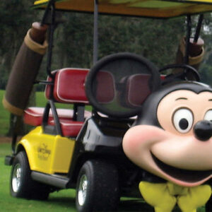 Disney Golf