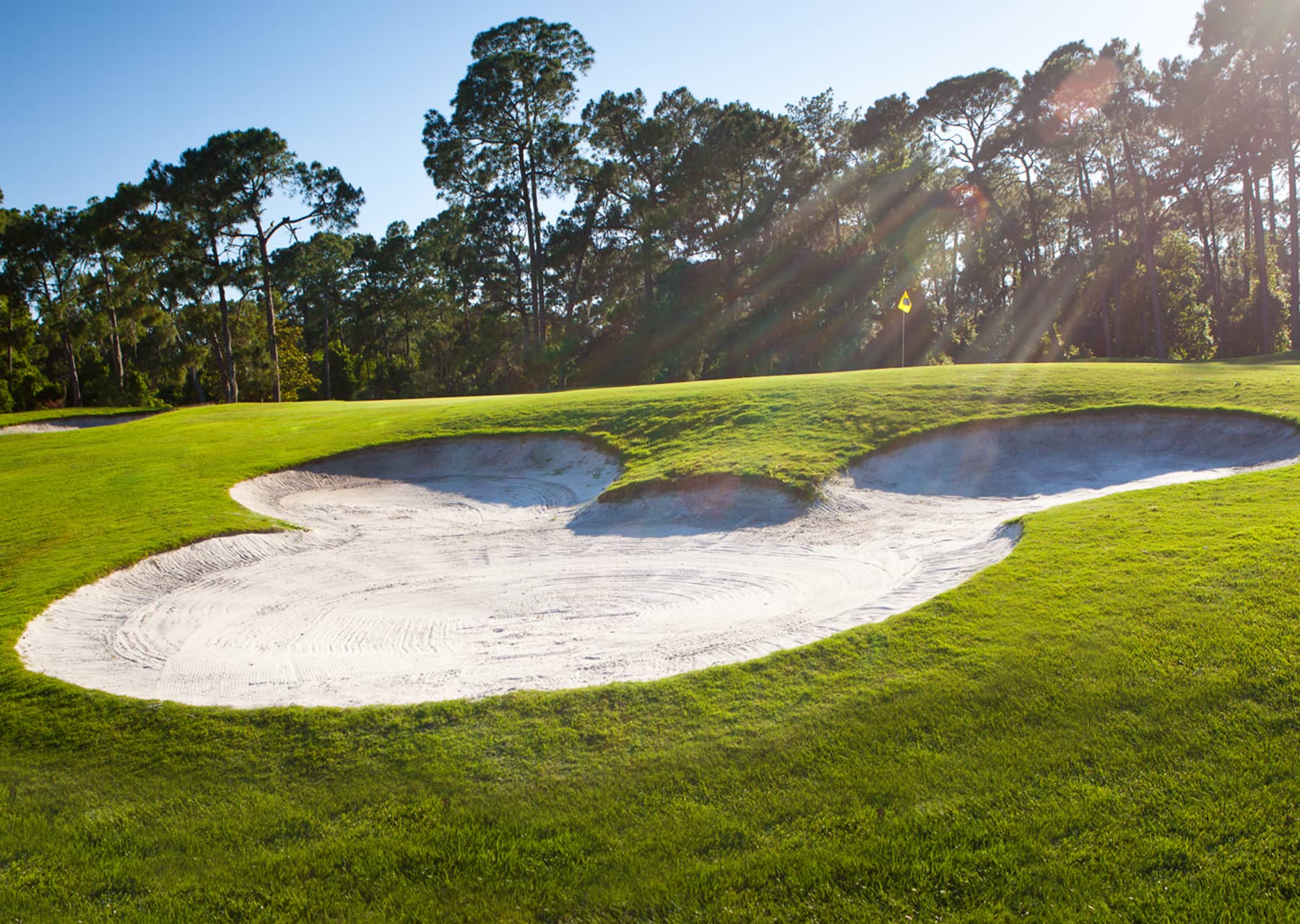 Walt Disney World® Golf