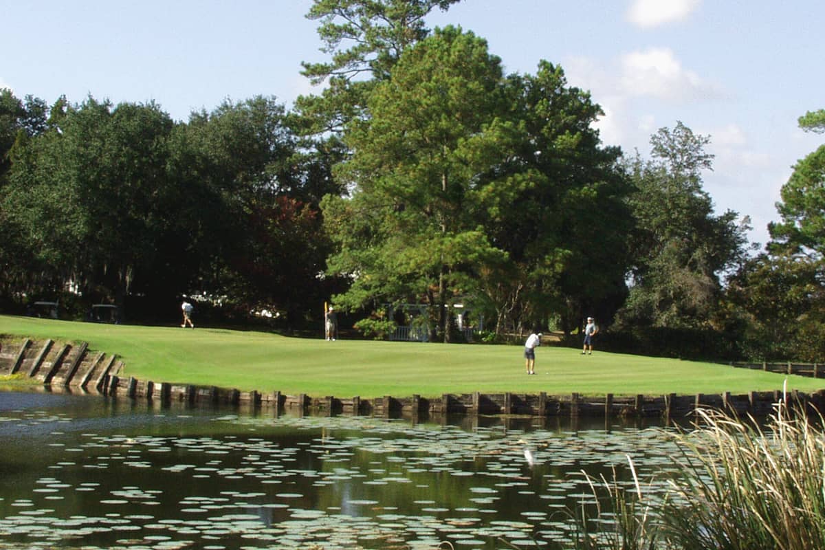 Golfers putting on the green