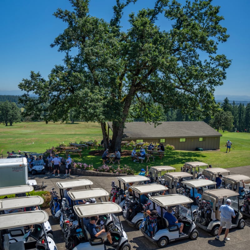 Rows of golf carts and people gathering near a large tree on a sunny day at a golf course.